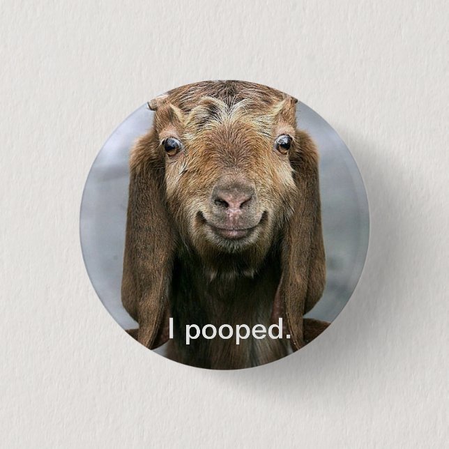 Badge Rond 2,50 Cm Chèvre pooping. (Devant)