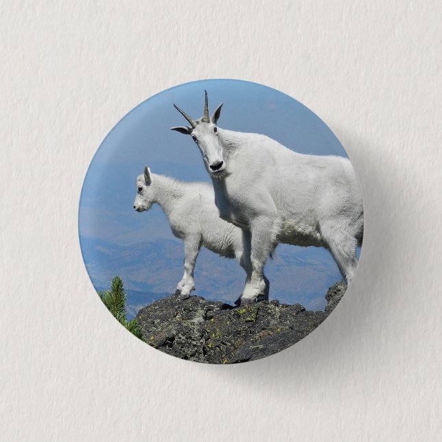 Badge Rond 2,50 Cm Chèvres de montagne Photo White Wildlife (Devant)