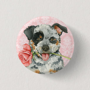 Badge Rond 2,50 Cm Chien australien de bétail de rose de Valentine
