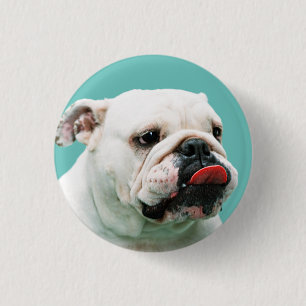 Badge Rond 2,50 Cm Chien blanc mignon Bulldog
