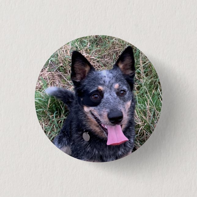 Badge Rond 2,50 Cm Chien de bétail australien (Devant)