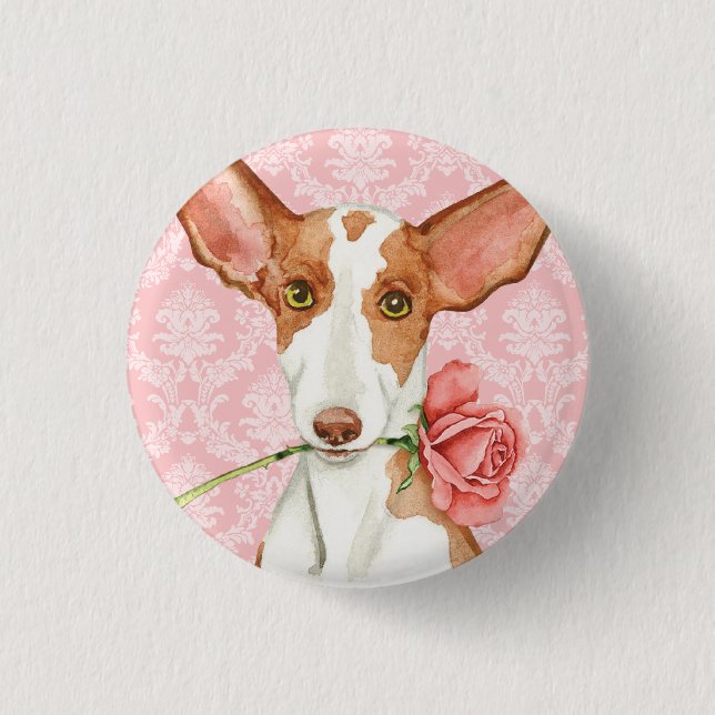 Badge Rond 2,50 Cm Chien rose de Valentine Ibizan (Devant)