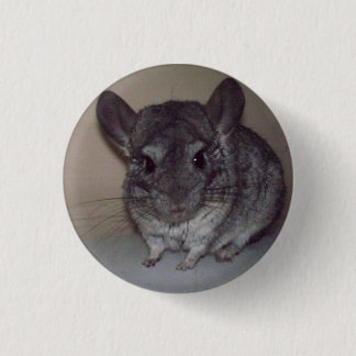 Badge Rond 2,50 Cm Chinchilla