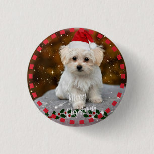 Badge Rond 2,50 Cm Chiot de Noël maltais