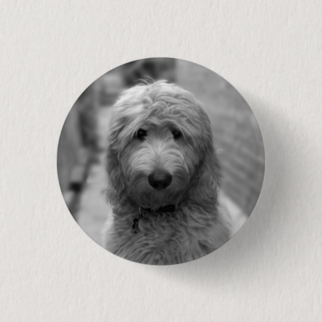 Badge Rond 2,50 Cm Chiot Goldendoodle en Jardin (Devant)