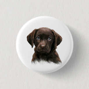 Badge Rond 2,50 Cm Chocolat Labrador Retriever Brown