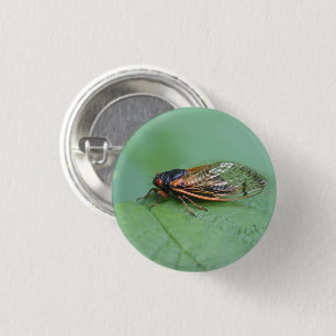 Badge Rond 2,50 Cm Cicada Photo