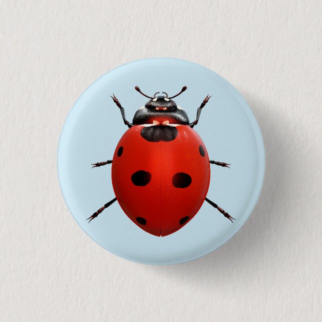 Badge Rond 2,50 Cm Coccinelle Chanceuse (Devant)