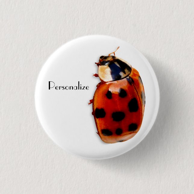 Badge Rond 2,50 Cm Coccinelle repérée chic avec le nom (Devant)
