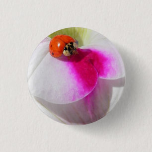 Badge Rond 2,50 Cm Coccinelle sur le bouton de pétunia