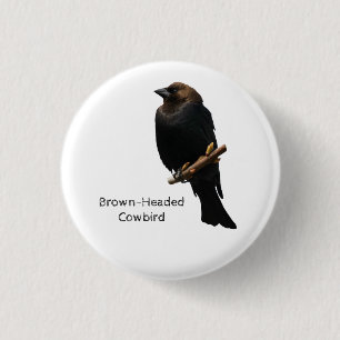 Badge Rond 2,50 Cm Colibri à tête Brown