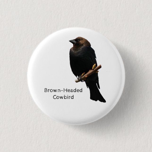 Badge Rond 2,50 Cm Colibri à tête Brown (Devant)