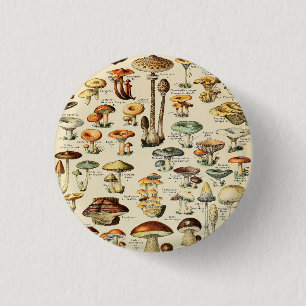 Badge Rond 2,50 Cm Collection de champignons