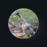 Badge Rond 2,50 Cm Collier argenté d'oie soie<br><div class="desc">Oiseau</div>