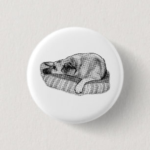 Badge Rond 2,50 Cm Confort Rétro, Épingle Chien Calme