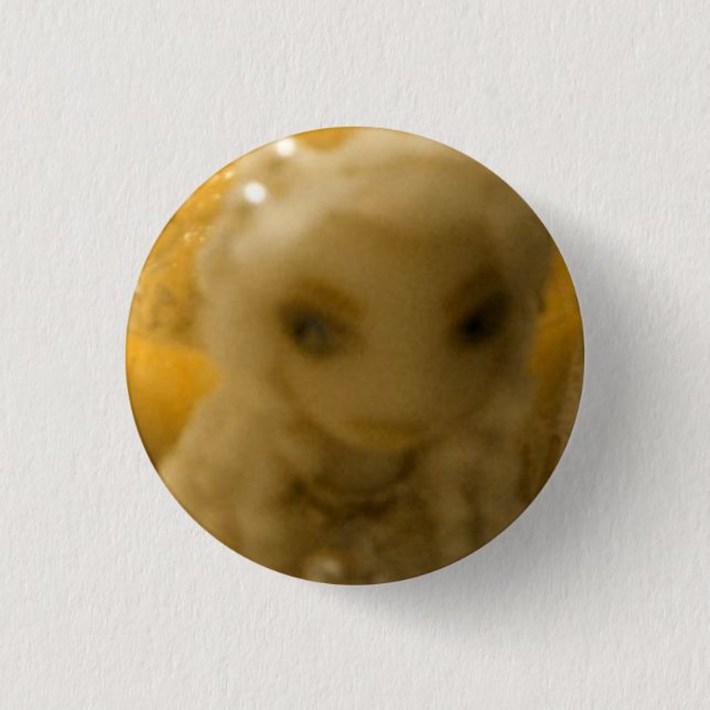 Badge Rond 2,50 Cm Constance (Devant)