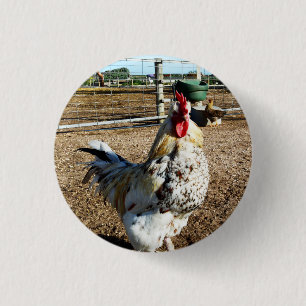 Badge Rond 2,50 Cm Coq de ferme moucheté, insigne