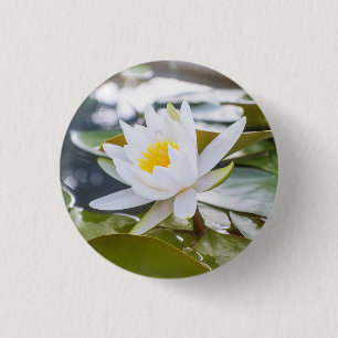 Badge Rond 2,50 Cm Couleur blanche de fleur de lotus dans l'étang