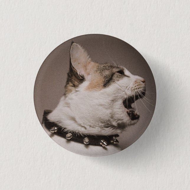 Badge Rond 2,50 Cm Criant Calico Cat Pin (Devant)