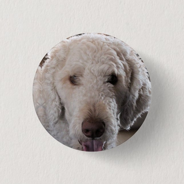 Badge Rond 2,50 Cm Cute (Devant)