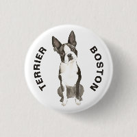 Cute Boston Terrier Chien race Aquarelles