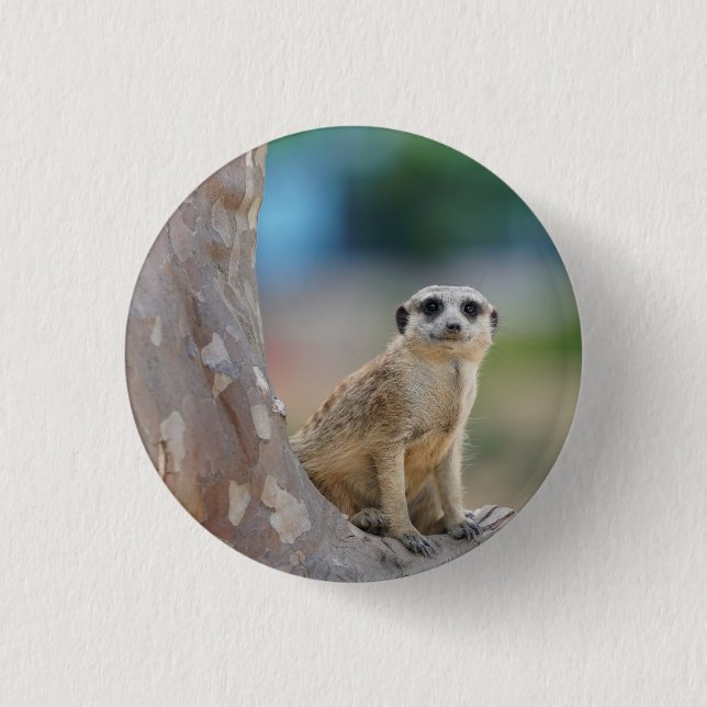 Badge Rond 2,50 Cm Cute Meerkat Sat sur arbre (Devant)