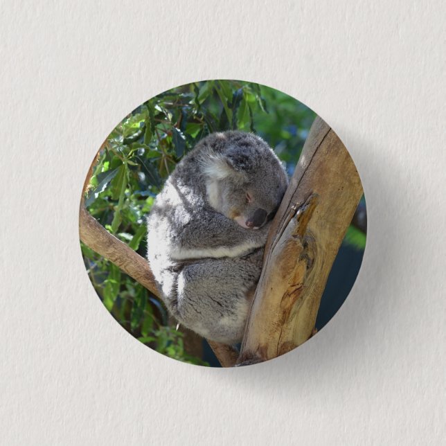 Badge Rond 2,50 Cm Cute Sleeping Koala in Tree (Devant)