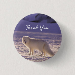 Badge Rond 2,50 Cm Cute White Arctic Fox neige hiver Photographie