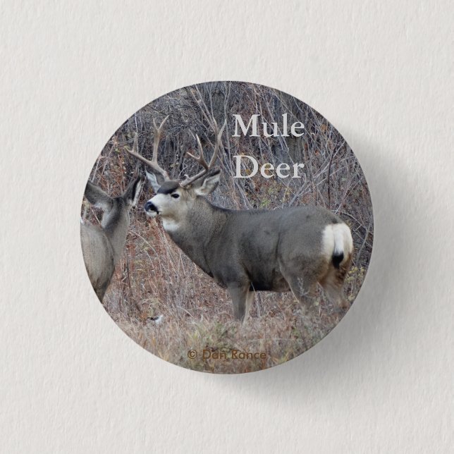 Badge Rond 2,50 Cm D29 Mule deer (Devant)
