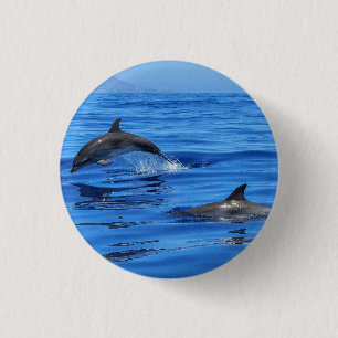 Badge Rond 2,50 Cm Dauphins En Eau Bleue