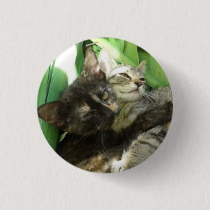 Badge Rond 2,50 Cm Des chatons mignons se câlinent