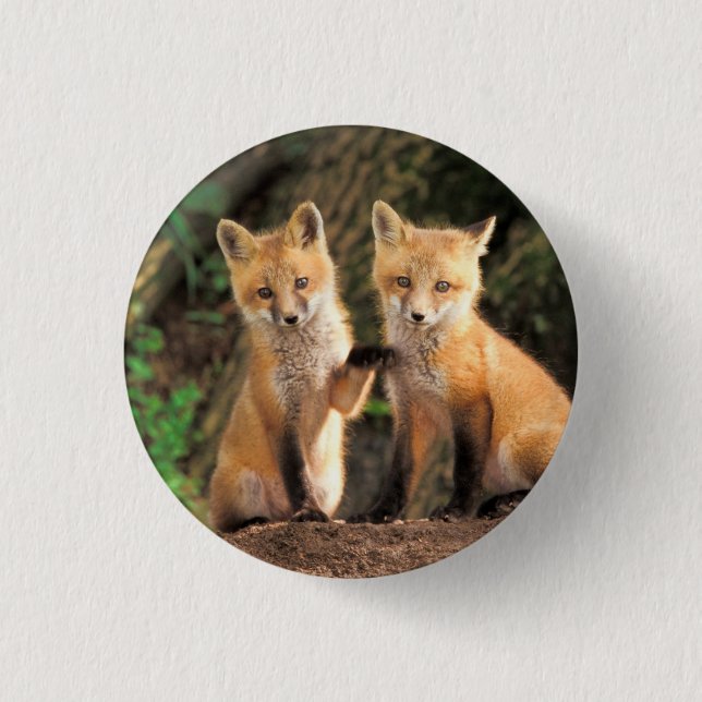 Badge Rond 2,50 Cm Deux Pups Red Fox devant leur Den (Devant)