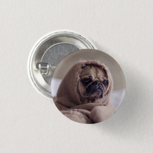 Badge Rond 2,50 Cm Drôle chien Carlin enveloppé dans une écharpe