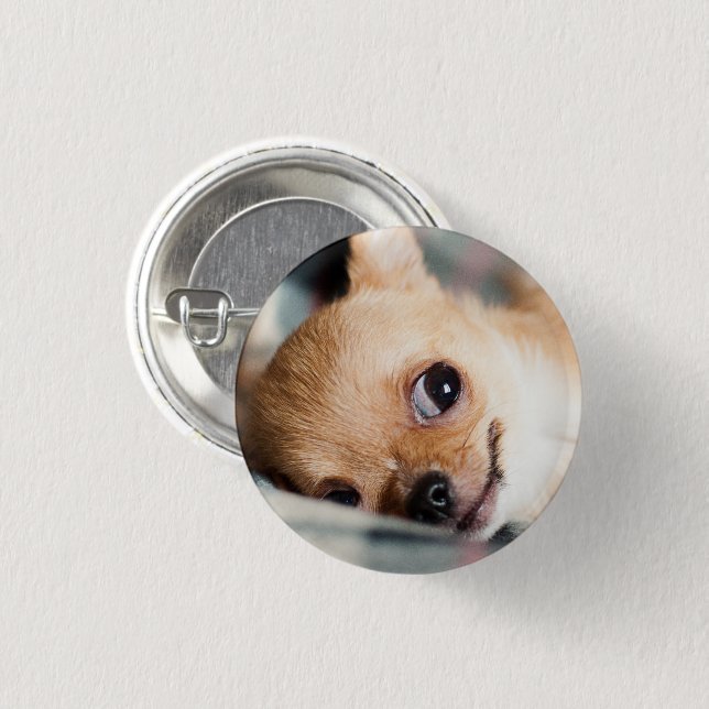 Badge Rond 2,50 Cm Drôle visage Chihuahua (Devant & derrière)