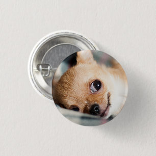 Badge Rond 2,50 Cm Drôle visage Chihuahua