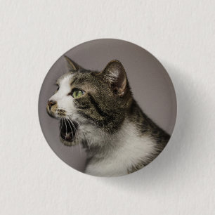 Badge Rond 2,50 Cm Écran Cat Pin