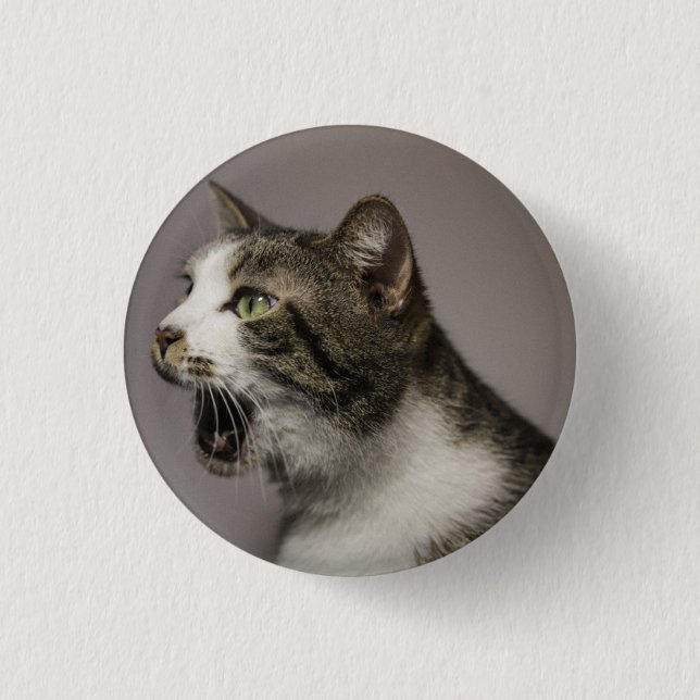 Badge Rond 2,50 Cm Écran Cat Pin (Devant)
