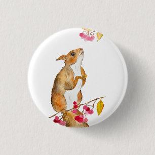 Badge Rond 2,50 Cm Écureuil d'aquarelle drôle sur une branche avec de