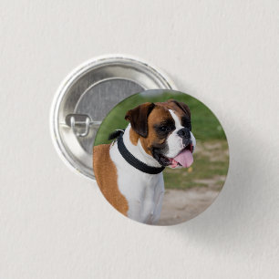 Badge Rond 2,50 Cm Emplacement de la boîte