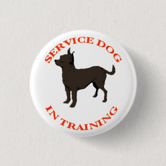 Badge Rond 2,50 Cm Entretenez le chien dans le bouton de formation