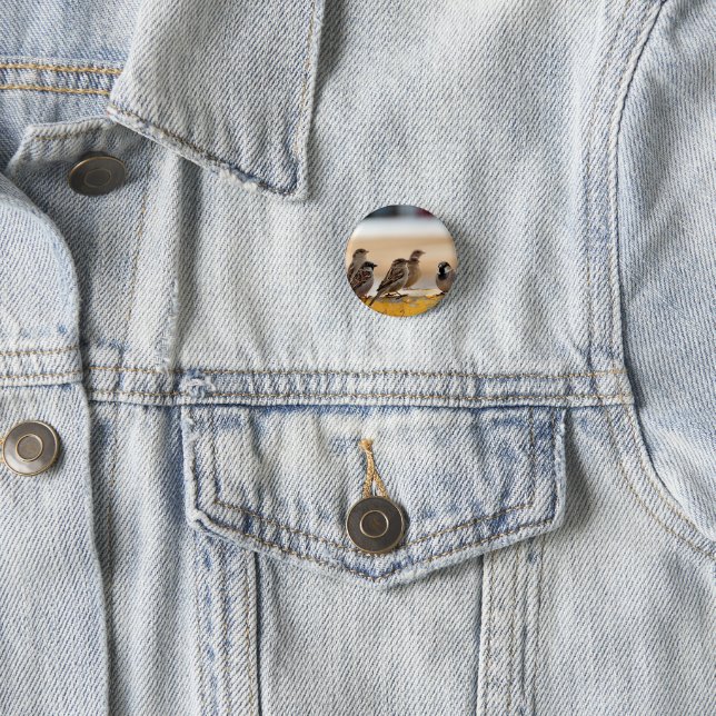 Badge Rond 2,50 Cm Éperviers (En situation)