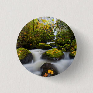 Badge Rond 2,50 Cm Érable Bigleaf de McCord Creek  Columbia Gorge, O