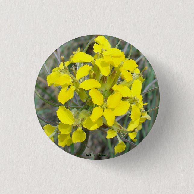 Badge Rond 2,50 Cm F14 Fleurs sauvages jaunes (Devant)
