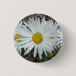 Badge Rond 2,50 Cm F42 Fleurs sauvages blanches Aster lisse