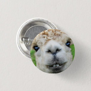 Badge Rond 2,50 Cm Face blanche d'alpaga mignonne