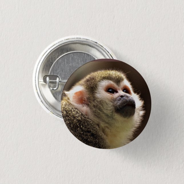 Badge Rond 2,50 Cm Face de Singe Capucin mignonne (Devant & derrière)
