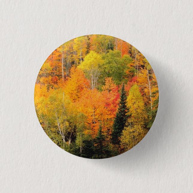 Badge Rond 2,50 Cm Fall Foliage Valley (Devant)