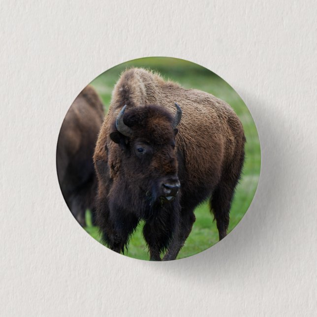 Badge Rond 2,50 Cm Faune  (Devant)