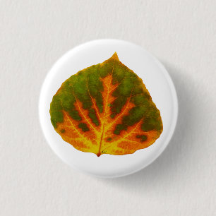 Badge Rond 2,50 Cm Feuille vert orange et jaune d'Aspen #1