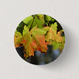 Badge Rond 2,50 Cm Feuilles de chute colorées